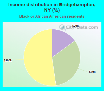 Income distribution in Bridgehampton, NY (%)