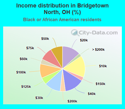 Income distribution in Bridgetown North, OH (%)