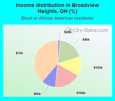 Income distribution in Broadview Heights, OH (%)