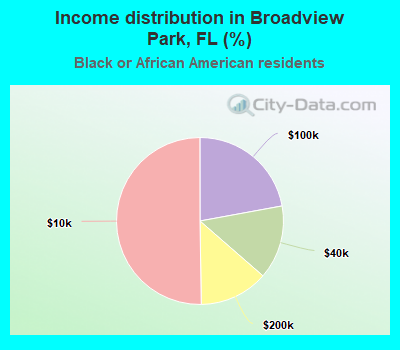 Income distribution in Broadview Park, FL (%)