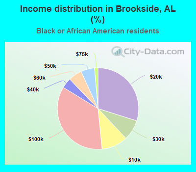 Income distribution in Brookside, AL (%)