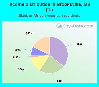 Income distribution in Brooksville, MS (%)