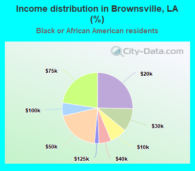 Income distribution in Brownsville, LA (%)