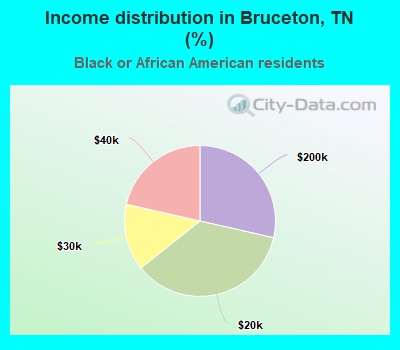 Income distribution in Bruceton, TN (%)