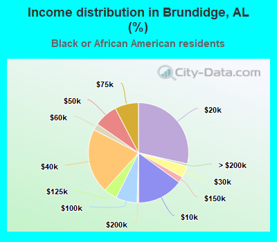 Income distribution in Brundidge, AL (%)