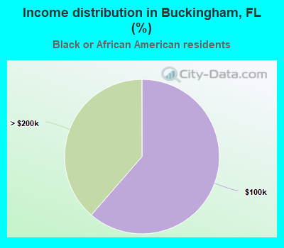 Income distribution in Buckingham, FL (%)