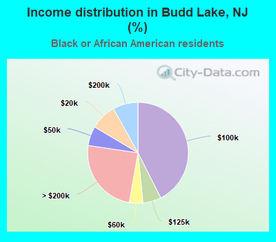 Income distribution in Budd Lake, NJ (%)