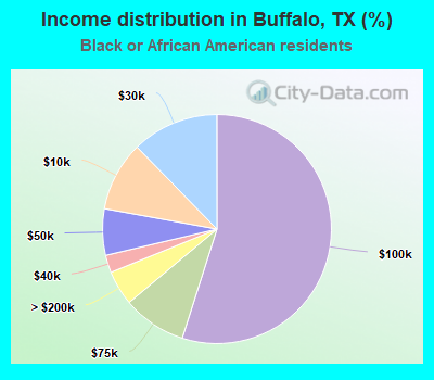 Income distribution in Buffalo, TX (%)