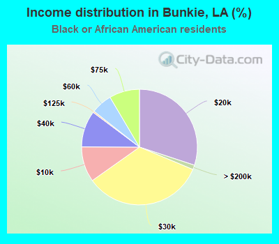 Income distribution in Bunkie, LA (%)
