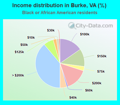 Income distribution in Burke, VA (%)