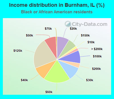 Income distribution in Burnham, IL (%)