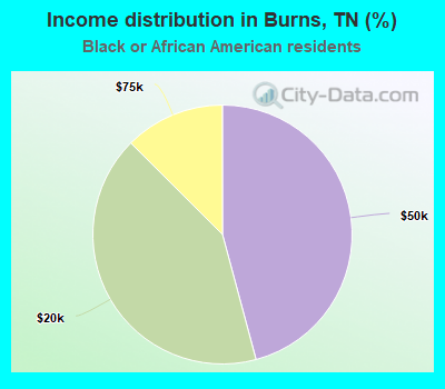 Income distribution in Burns, TN (%)