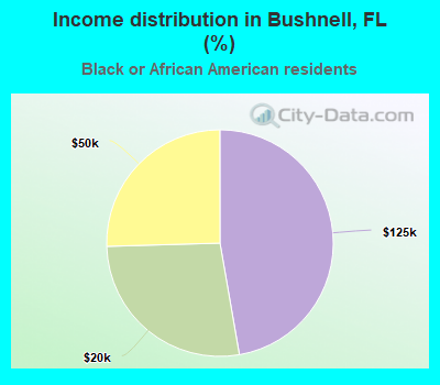 Income distribution in Bushnell, FL (%)