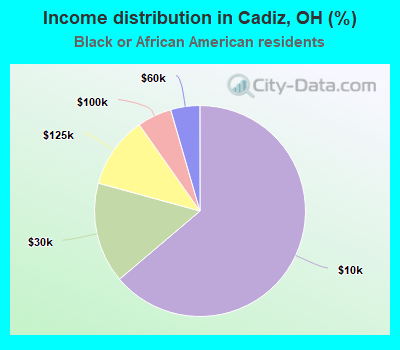Income distribution in Cadiz, OH (%)