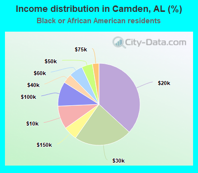Income distribution in Camden, AL (%)