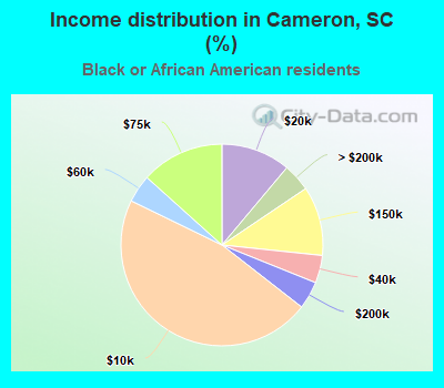 Income distribution in Cameron, SC (%)