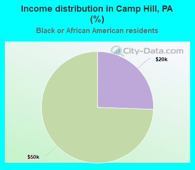 Income distribution in Camp Hill, PA (%)