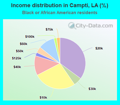 Income distribution in Campti, LA (%)