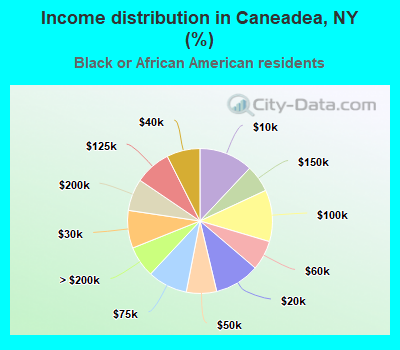 Income distribution in Caneadea, NY (%)