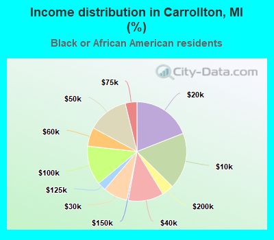 Income distribution in Carrollton, MI (%)