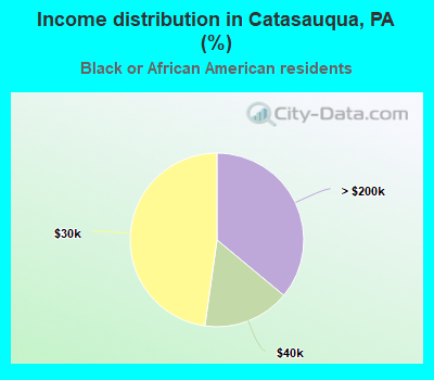 Income distribution in Catasauqua, PA (%)