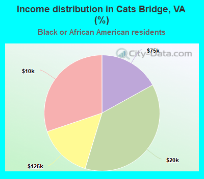 Income distribution in Cats Bridge, VA (%)