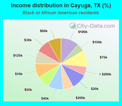 Income distribution in Cayuga, TX (%)