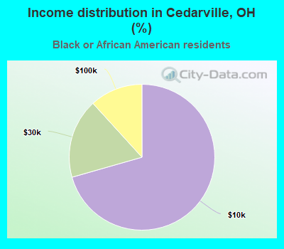 Income distribution in Cedarville, OH (%)