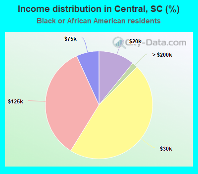 Income distribution in Central, SC (%)