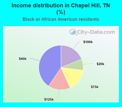 Income distribution in Chapel Hill, TN (%)