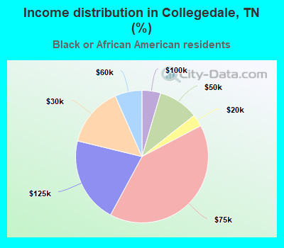 Income distribution in Collegedale, TN (%)