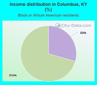 Income distribution in Columbus, KY (%)