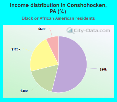 Income distribution in Conshohocken, PA (%)