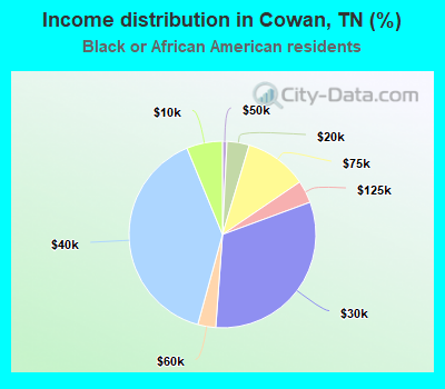 Income distribution in Cowan, TN (%)