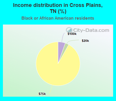 Income distribution in Cross Plains, TN (%)