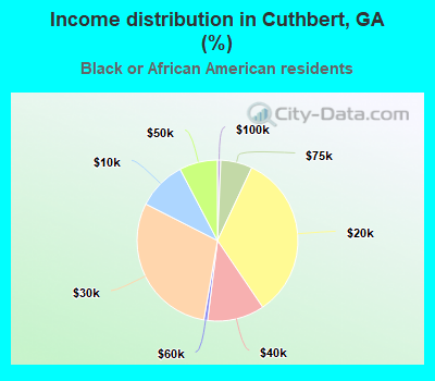 Income distribution in Cuthbert, GA (%)