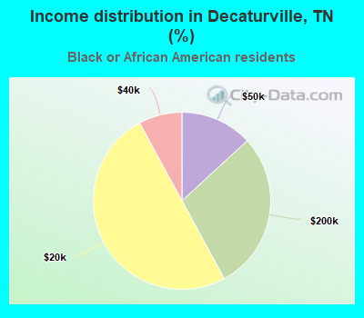 Income distribution in Decaturville, TN (%)