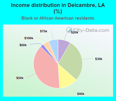 Income distribution in Delcambre, LA (%)