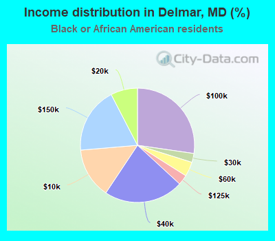 Income distribution in Delmar, MD (%)