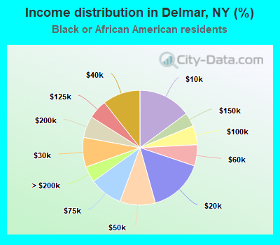 Income distribution in Delmar, NY (%)