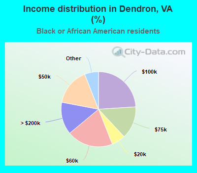 Income distribution in Dendron, VA (%)