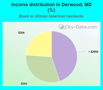 Income distribution in Derwood, MD (%)