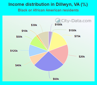 Income distribution in Dillwyn, VA (%)
