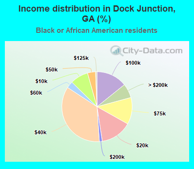 Income distribution in Dock Junction, GA (%)