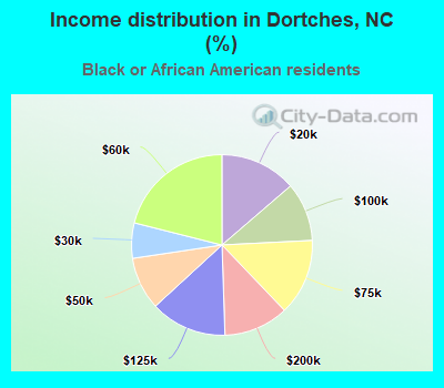 Income distribution in Dortches, NC (%)