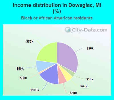 Income distribution in Dowagiac, MI (%)