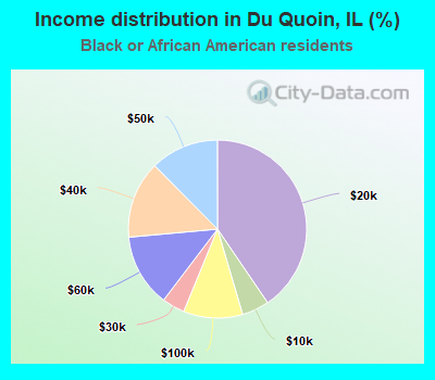 Income distribution in Du Quoin, IL (%)