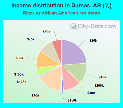 Income distribution in Dumas, AR (%)