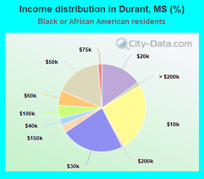 Income distribution in Durant, MS (%)