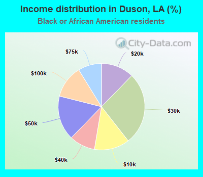Income distribution in Duson, LA (%)